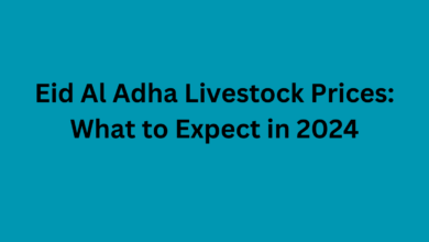 Eid Al Adha Livestock Prices: What to Expect in 2024