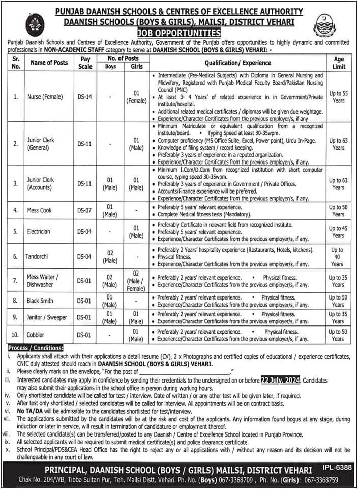 Punjab Danish School Vihari Jobs 2024